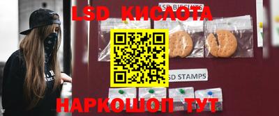 стафф Дмитров