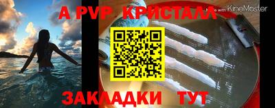 стафф Дмитров